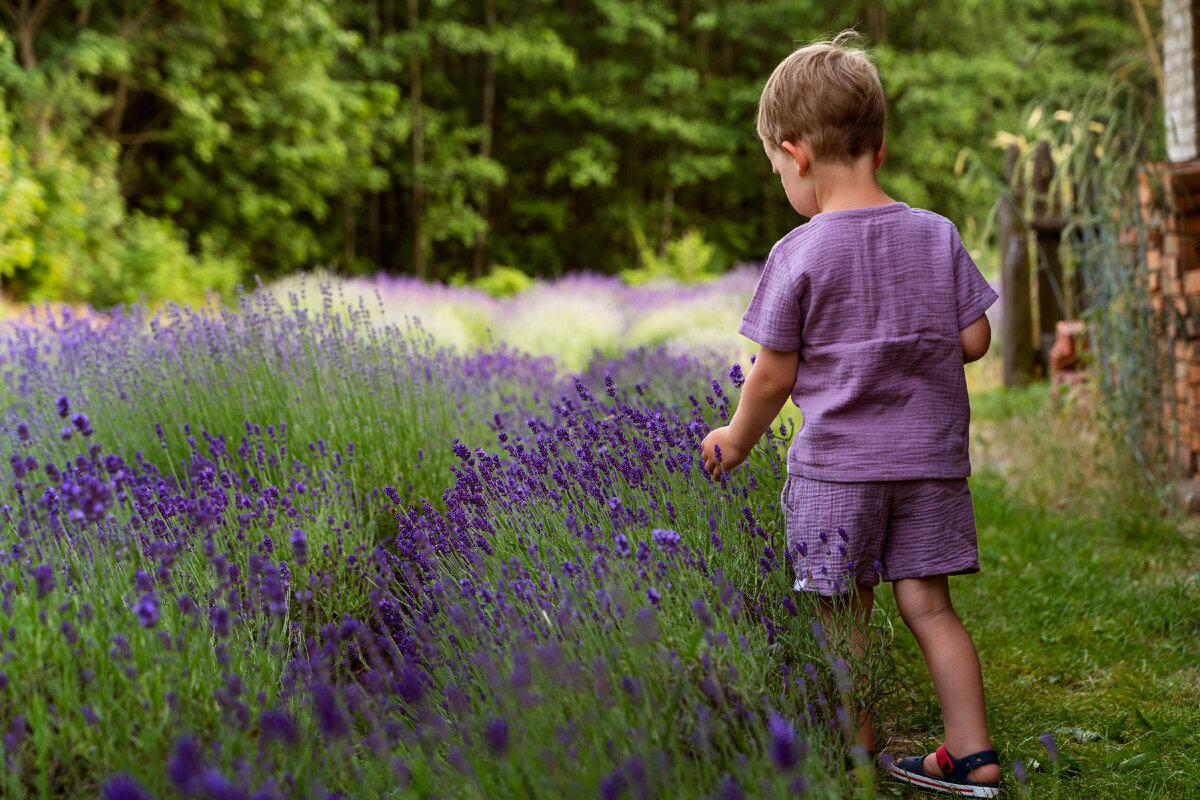 View kid. Boy with Flower collection Music.