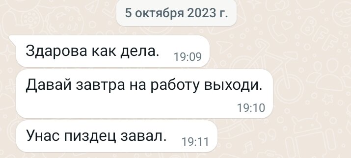 Скрин с WhatsApp 1