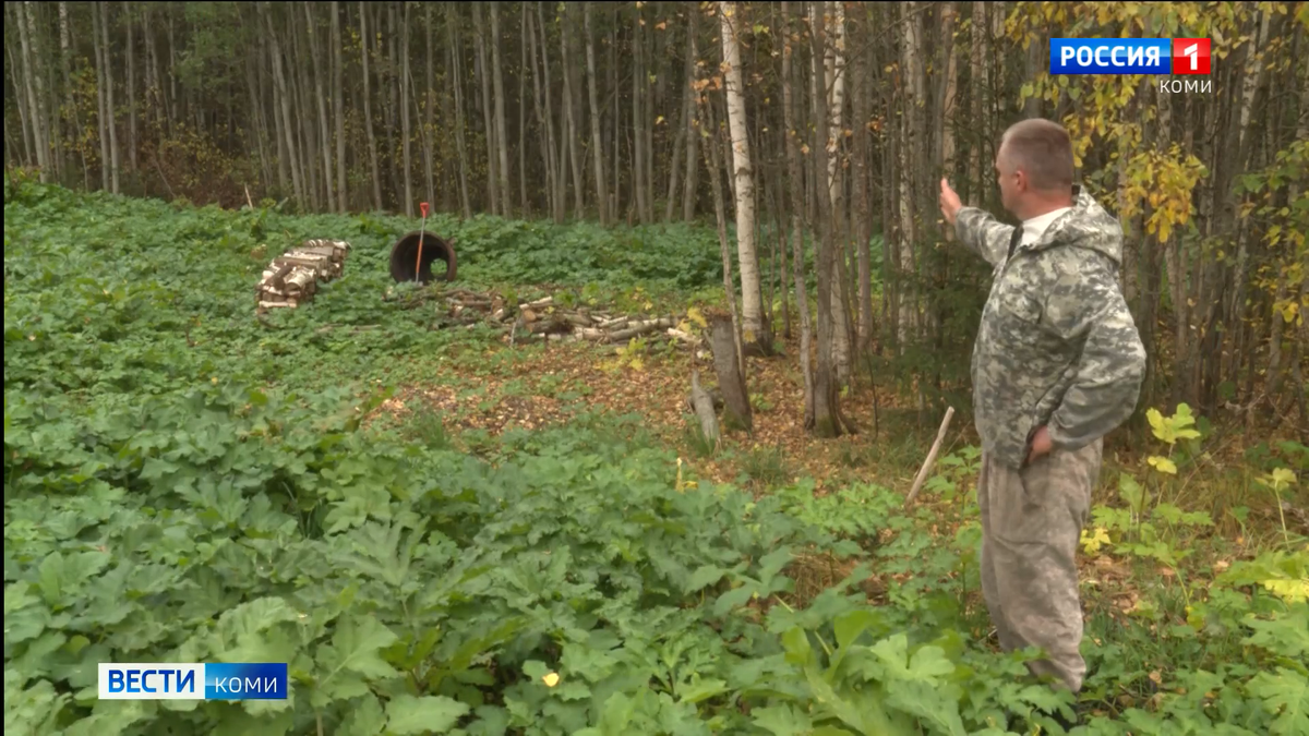 Кадр из сюжета ГТРК Коми Гор, ссылка на источник: https://vk.com/wall-79002029_42351