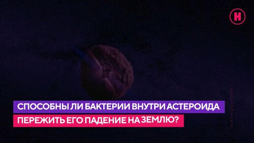 Способны ли бактерии внутри астероида пережить его падение на Землю?