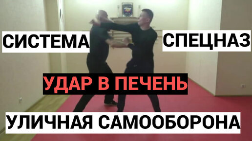 Скачать видео: Смертельный удар в печень. Система Спецназ. Вадим Старов курс ударной Самообороны. Вырубить любого!