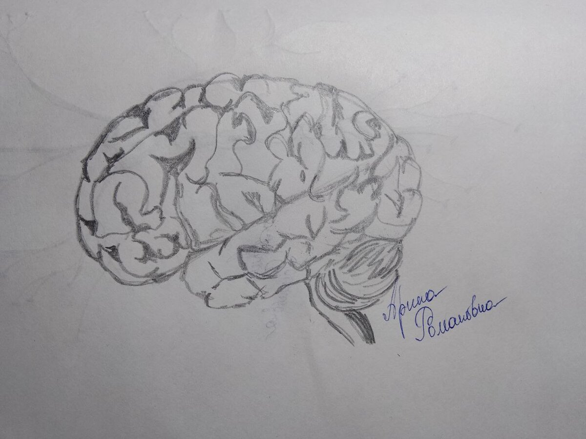 Его высочество Мозг