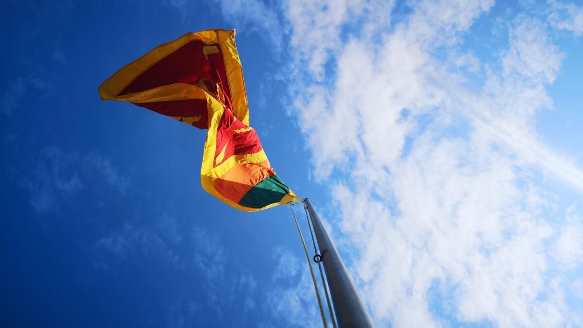    Фото: Unsplash Август Макаров