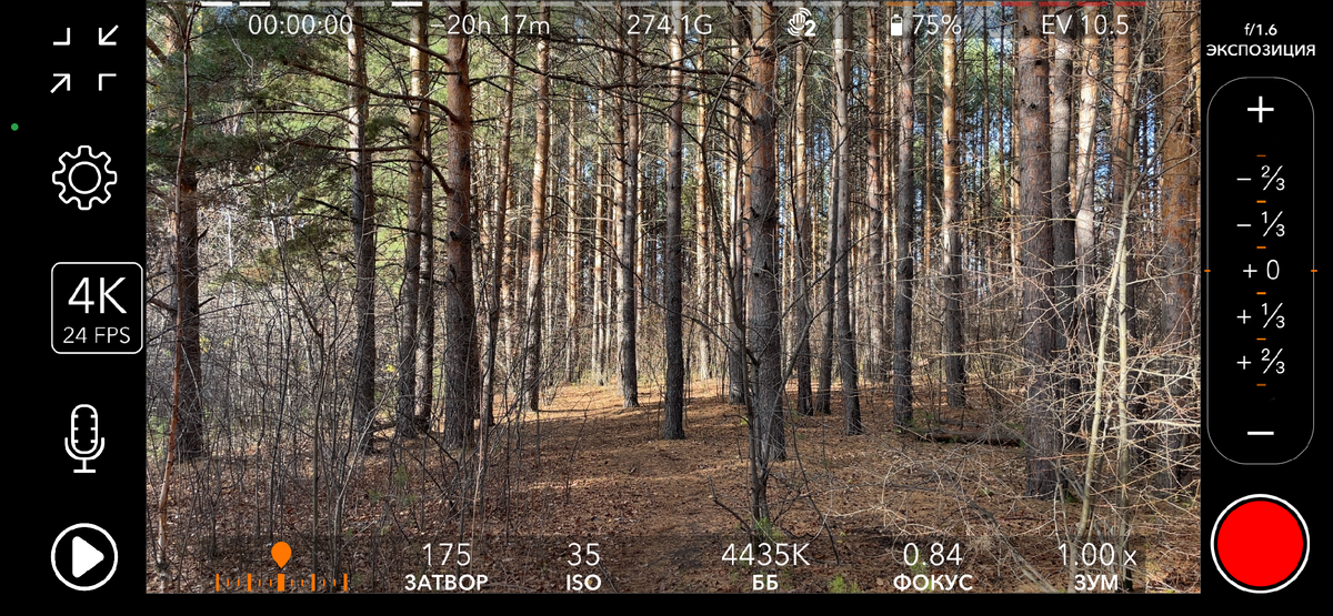 Интерфейс программы при стандартном запуске.