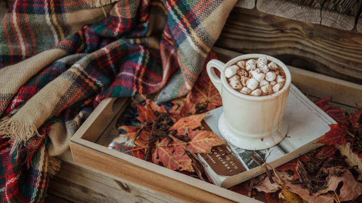    Этот ингредиент добавит горячему шоколаду пикантности: нужна щепотка© Unsplash | Alisa Anton