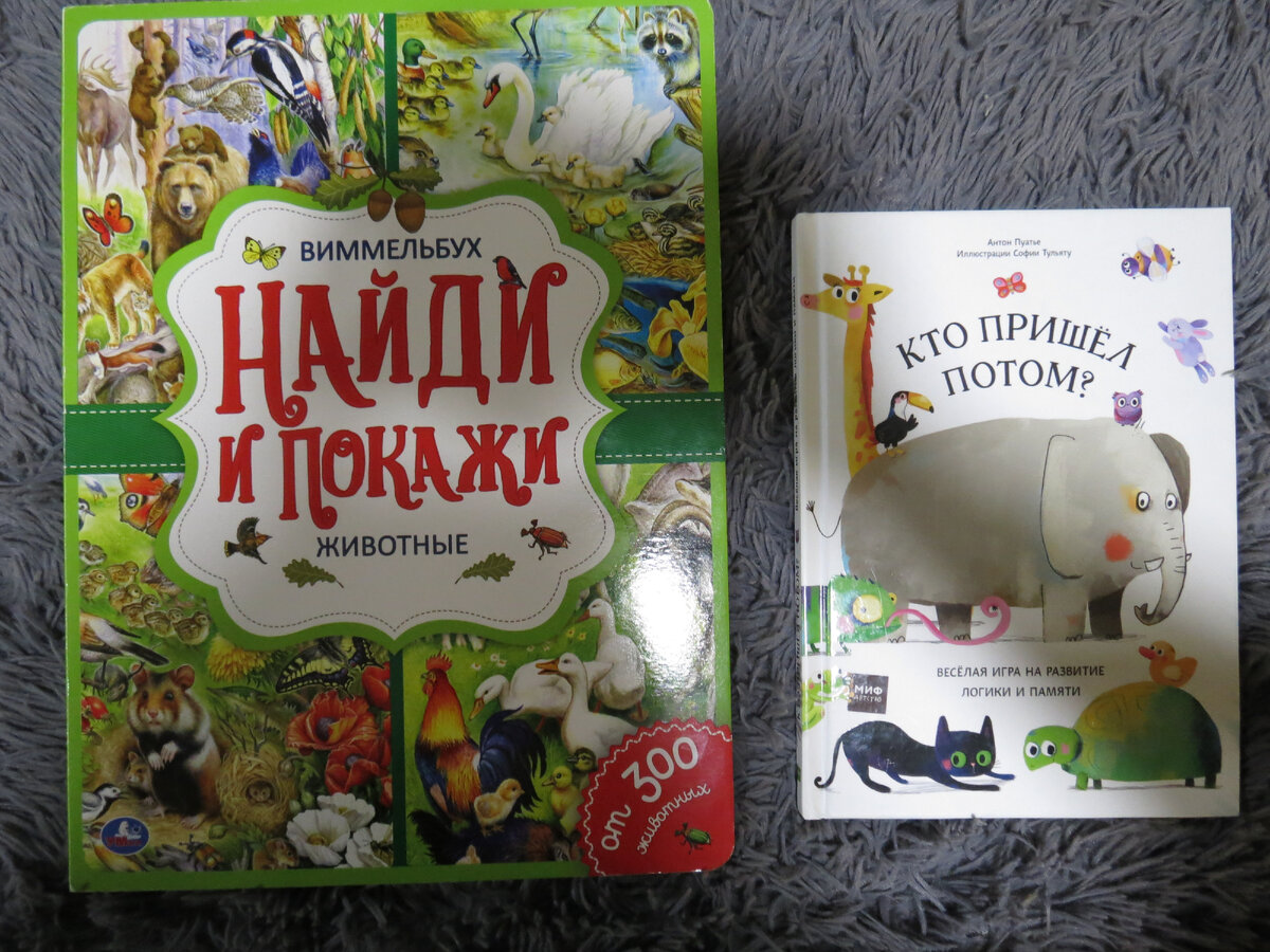 Что прочитали в последнее время. И про любовь к книгам. | Моя неМаленькая  семья | Дзен