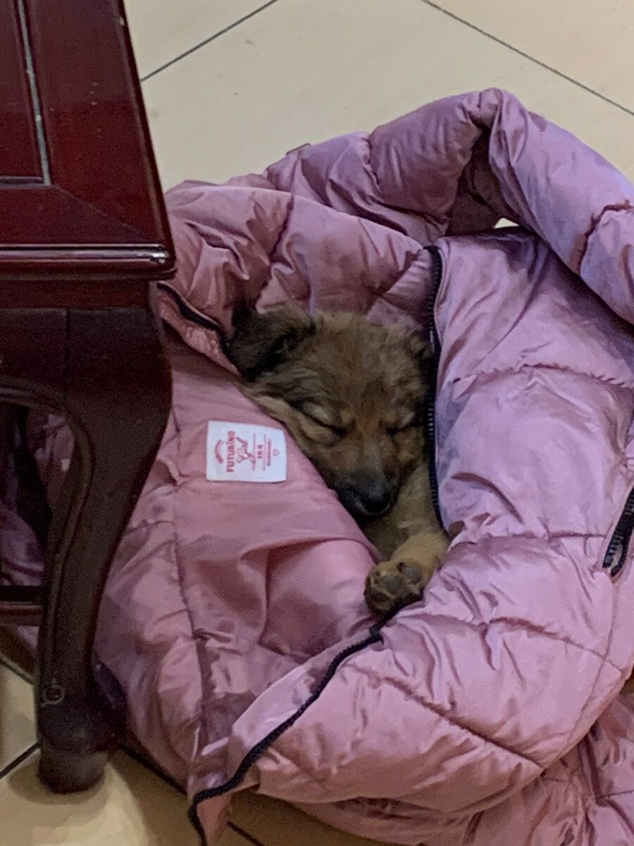 Мишель, пока еще не облагорожена. 