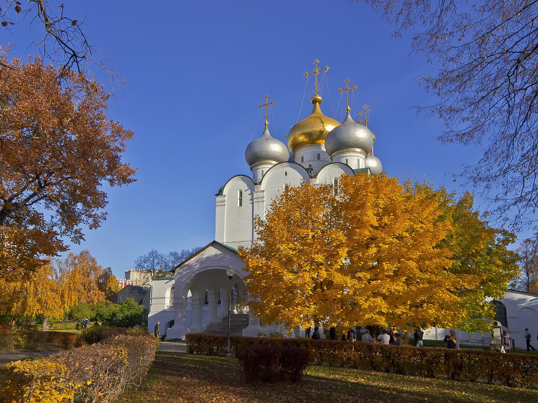 Источник: Яндекс. Картинки