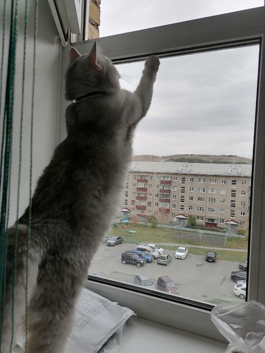 Личное фото автора 