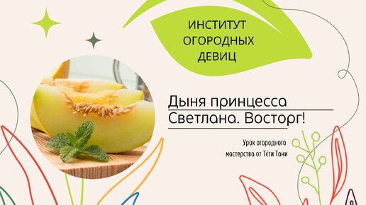 Дыня. Принцесса Светлана. Очень вкусно и красиво. Как прищипывать правильно.