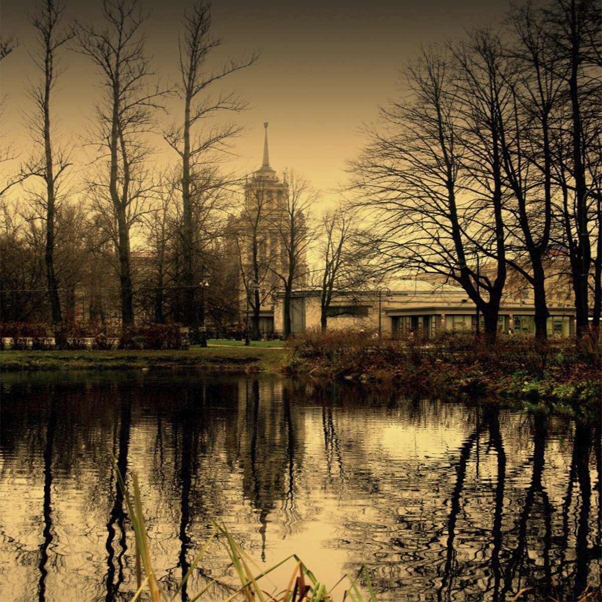 Парк Победы, Санкт Петербург. Фото из сети интернет.
