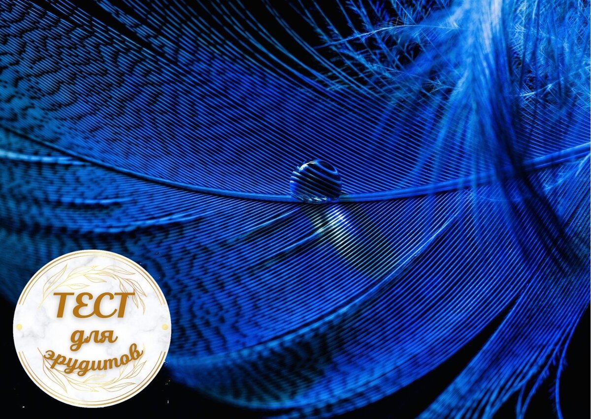 Источник изображения: pixabay.com, дизайн автора публикации