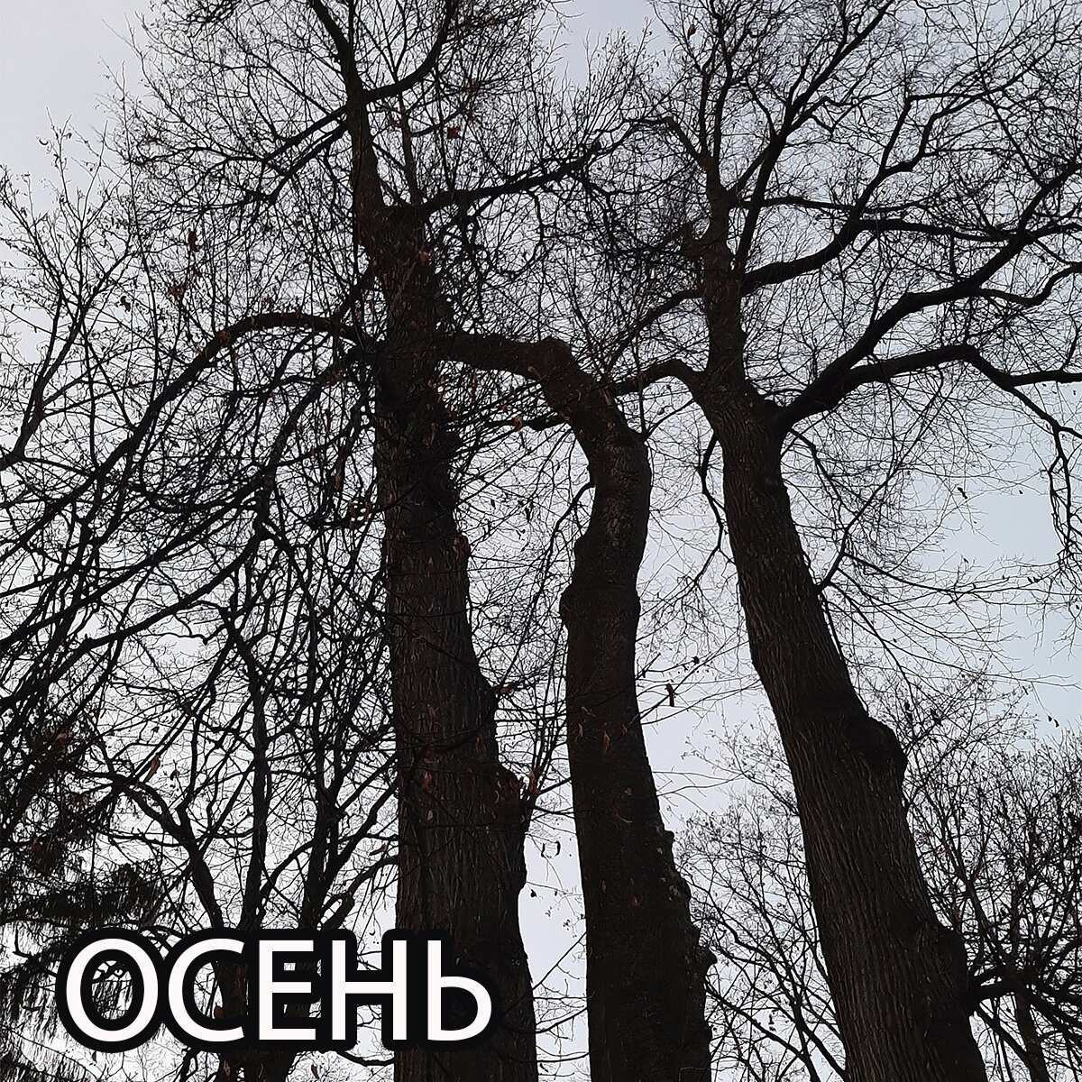 Картинка из сети интернет, благодарю автора.