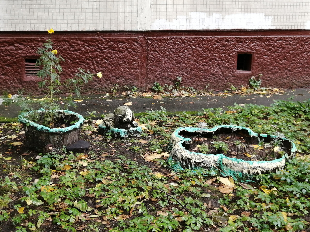 Не могу сказать, что тут подсказка, хотя... Может, одна форма? Но нет, не то. Ладно, просто остатки самопального цветника рядом с тем домом. Осень...