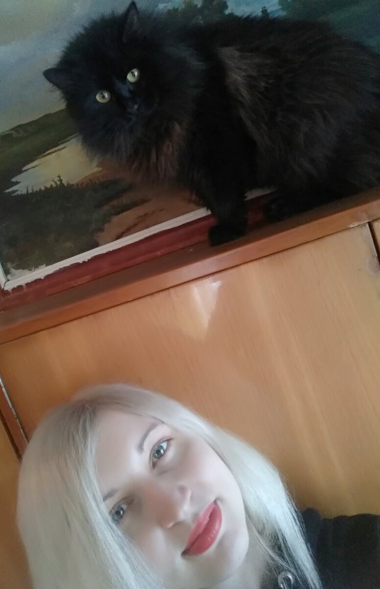 Эх, 😔 какой красивый котик был...