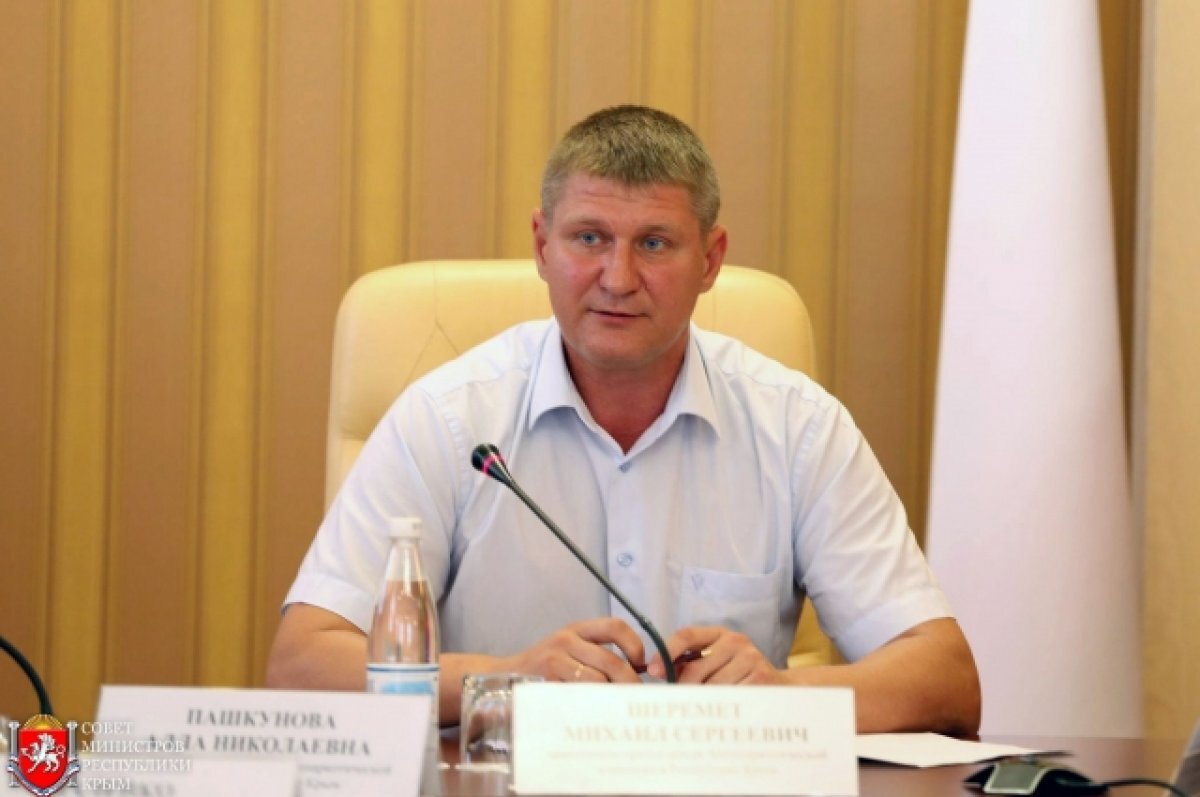    Депутат Шеремет предложил включить в план Шредера капитуляцию Украины
