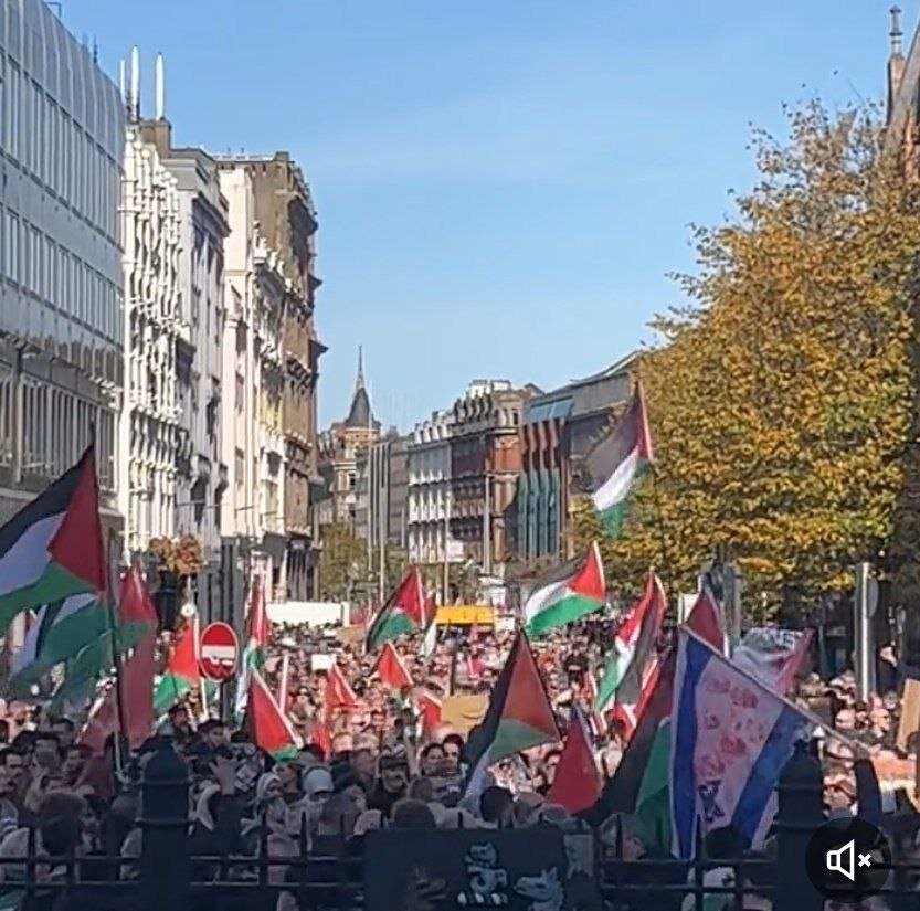 На фото город Белфаст и его окраины. ТГ канал свежести