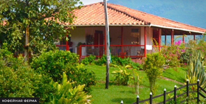 Кофейная ферма