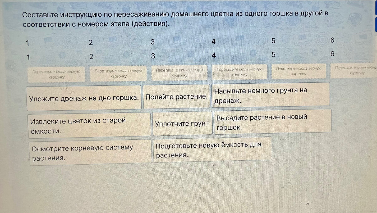 Доклад На Тему Основные Жанры Делового Стиля