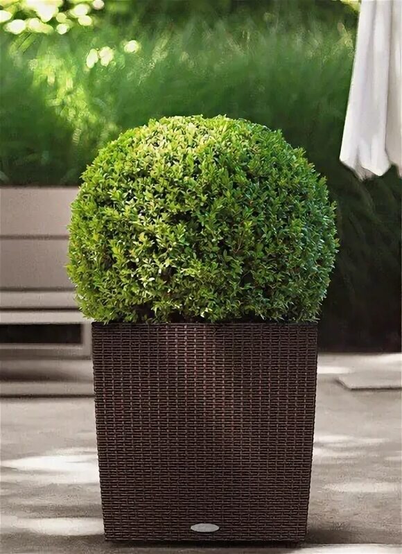 Кашпо из ротанга