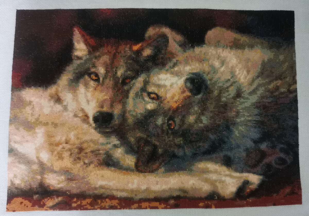 Анна финишировала с "Парой волков"