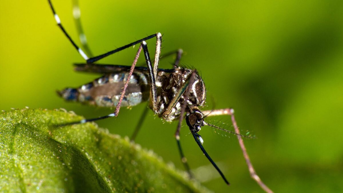    Фото: Shutterstock Август Макаров