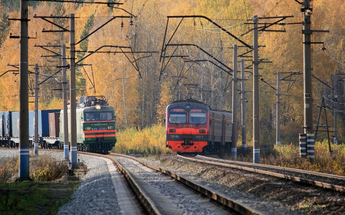 Фото взято из открытых источников