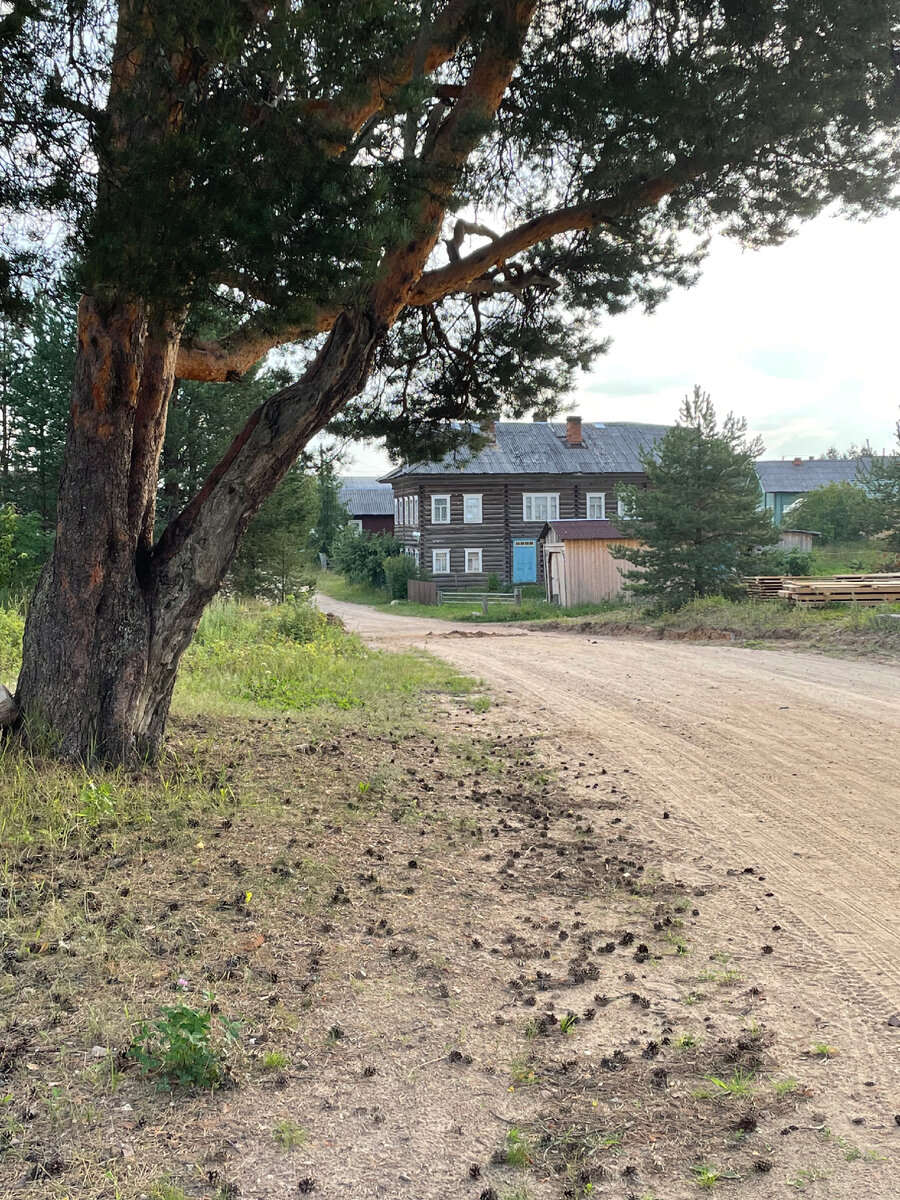 Вековые сосны и вековые дома на фоне песчаных дорог - что может быть лучше?