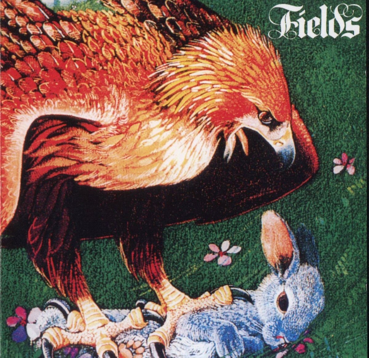 Fields, UK, Art Rock, Progressive Rock