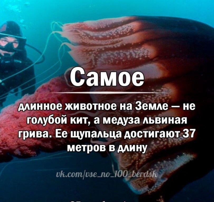 Самое самое факт. Удивительные научные факты. Самые интересные научные факты. Научные факты картинки. Интересные забавные научные факты.