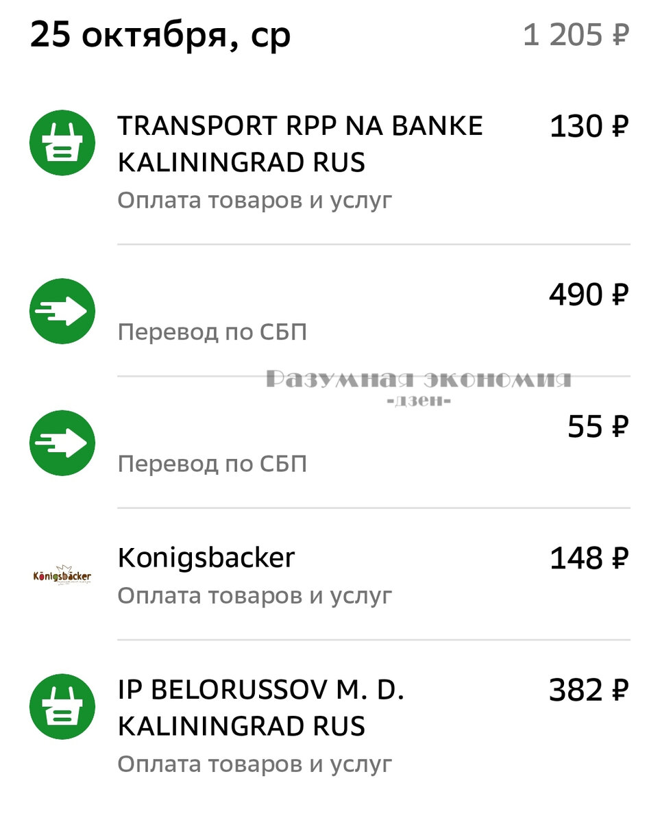 Живу на МРОТ Петербурга. День 26. Уезжаю в отпуск. Часть 2 - Расходы за первый день в путешествии