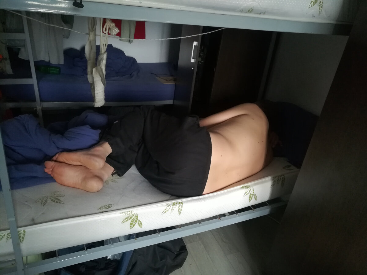 Сосед. Фото автора.