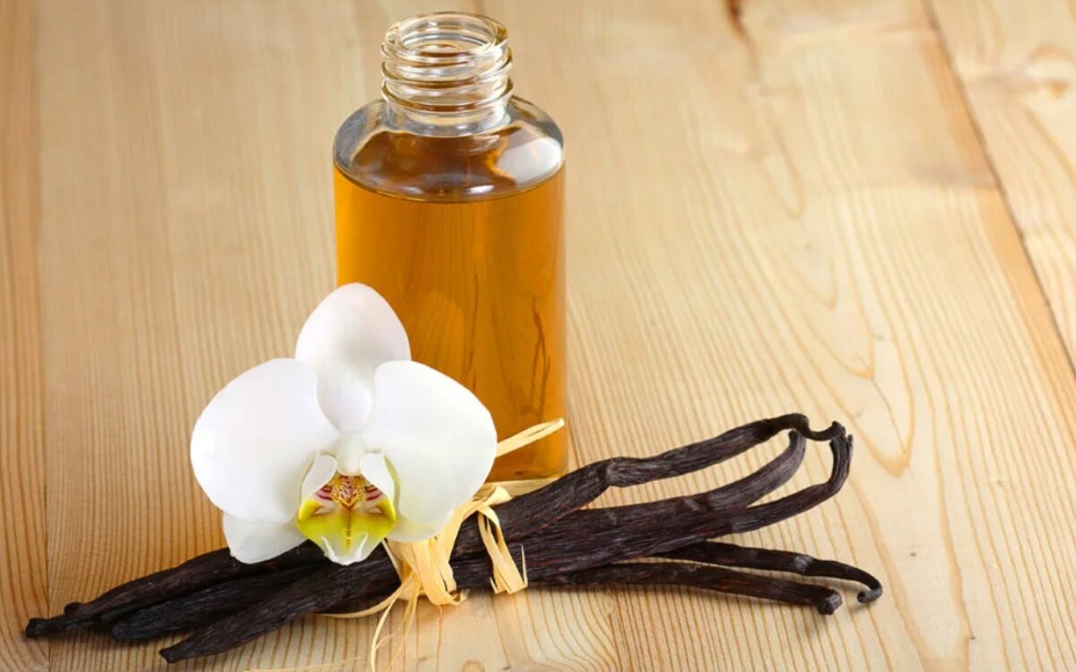 Что значит запах ванили. Бурбонская ваниль растение. Запах ванили. Ванильные ароматы. Духи с ванилью.