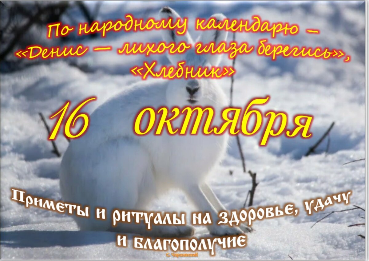 Встречаем новый день