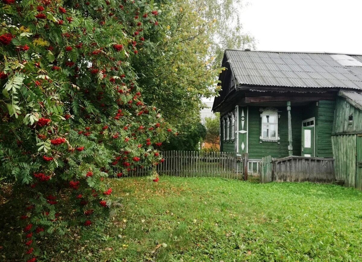 Сельская дачи. Деревенский дом с участком. Деревенский домик с землей. Старый домик с участком. Дом в деревне с садом.