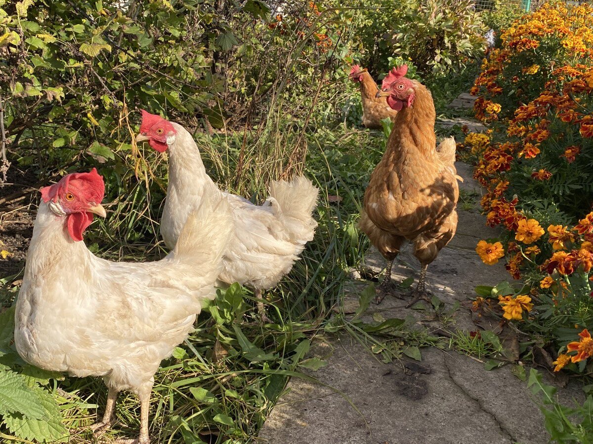 Солнечный день октября