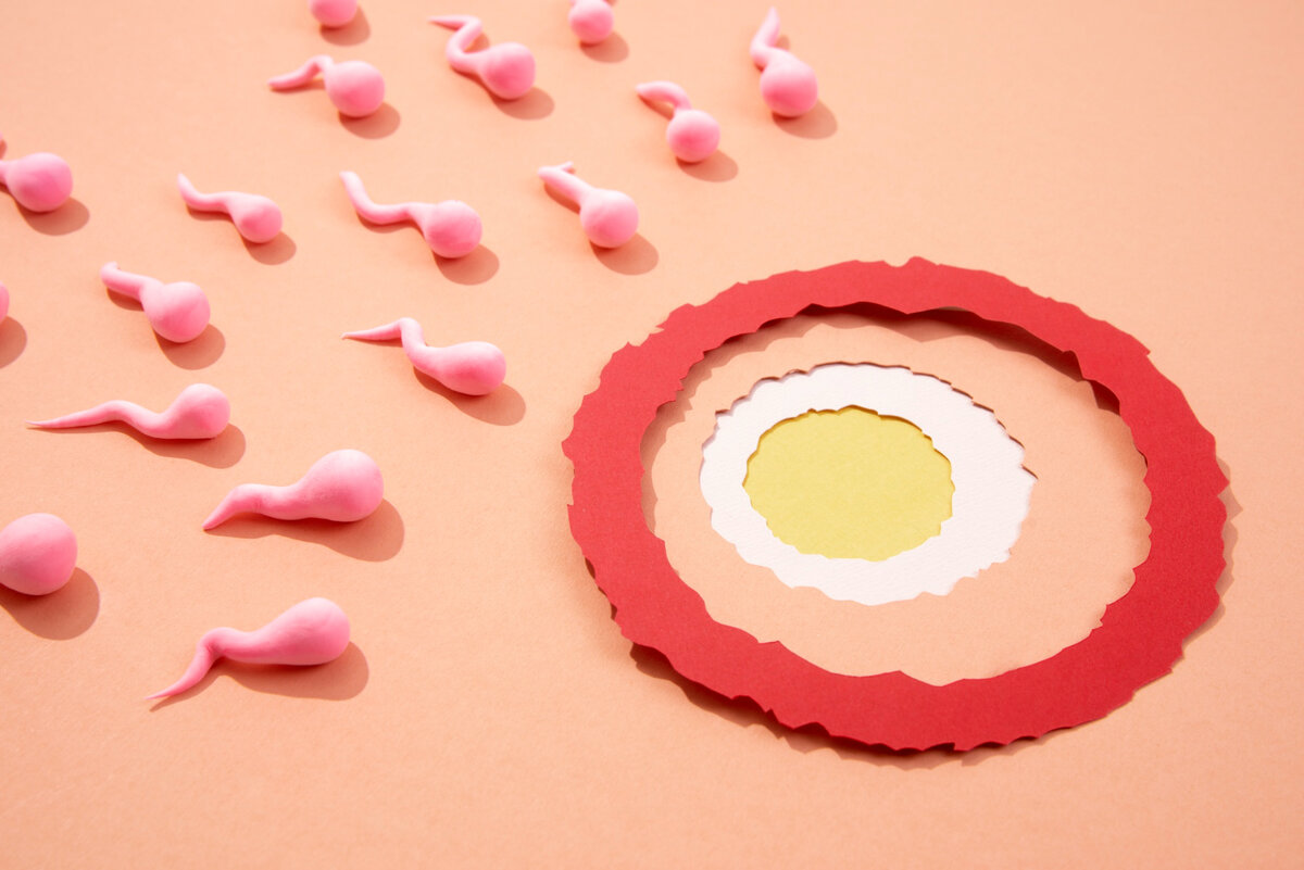 Связь между потреблением сладостей и качеством спермы