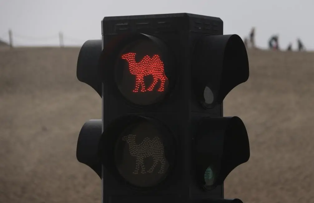 С одной стороны там верблюдики, а с другой человечки. Наверное, во всем мире единственные такие светофоры