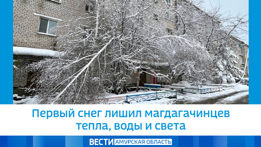 Сегодня снежная лишилась царя. Поваленное дерево заснеженное. Поваленное дерево в снегу. Упавшее дерево в городе. Упавшее дерево зимой.