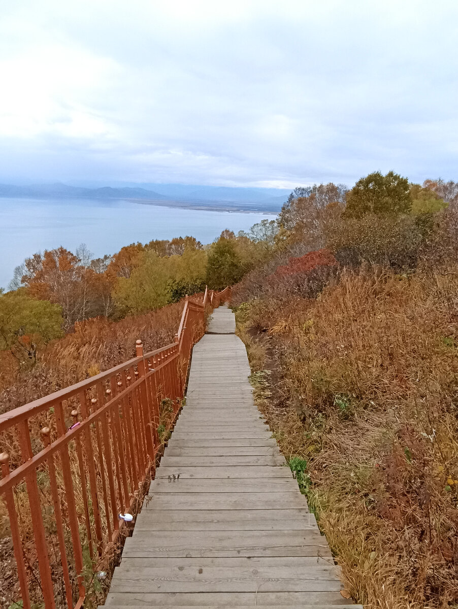 Деревянная лестница к смотровой площадке на сопке Мишенной. Фото автора