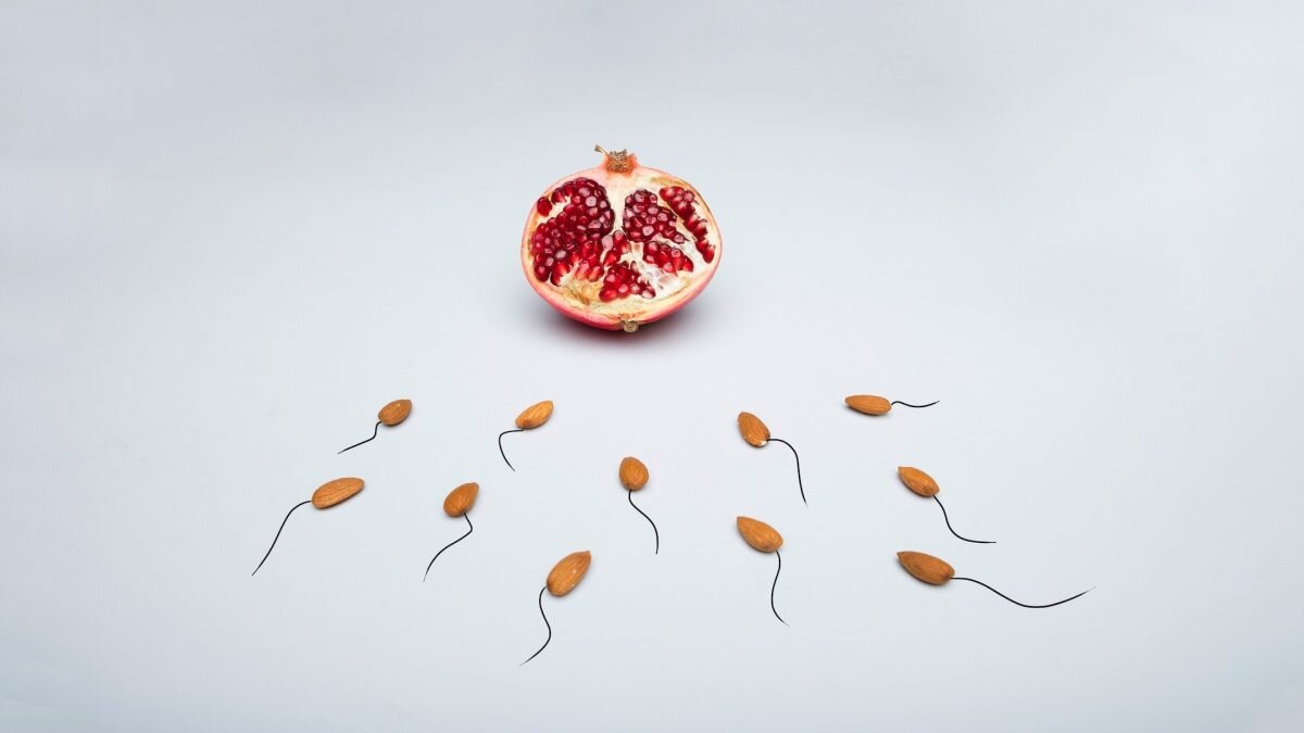    Фото: Unsplash Август Макаров