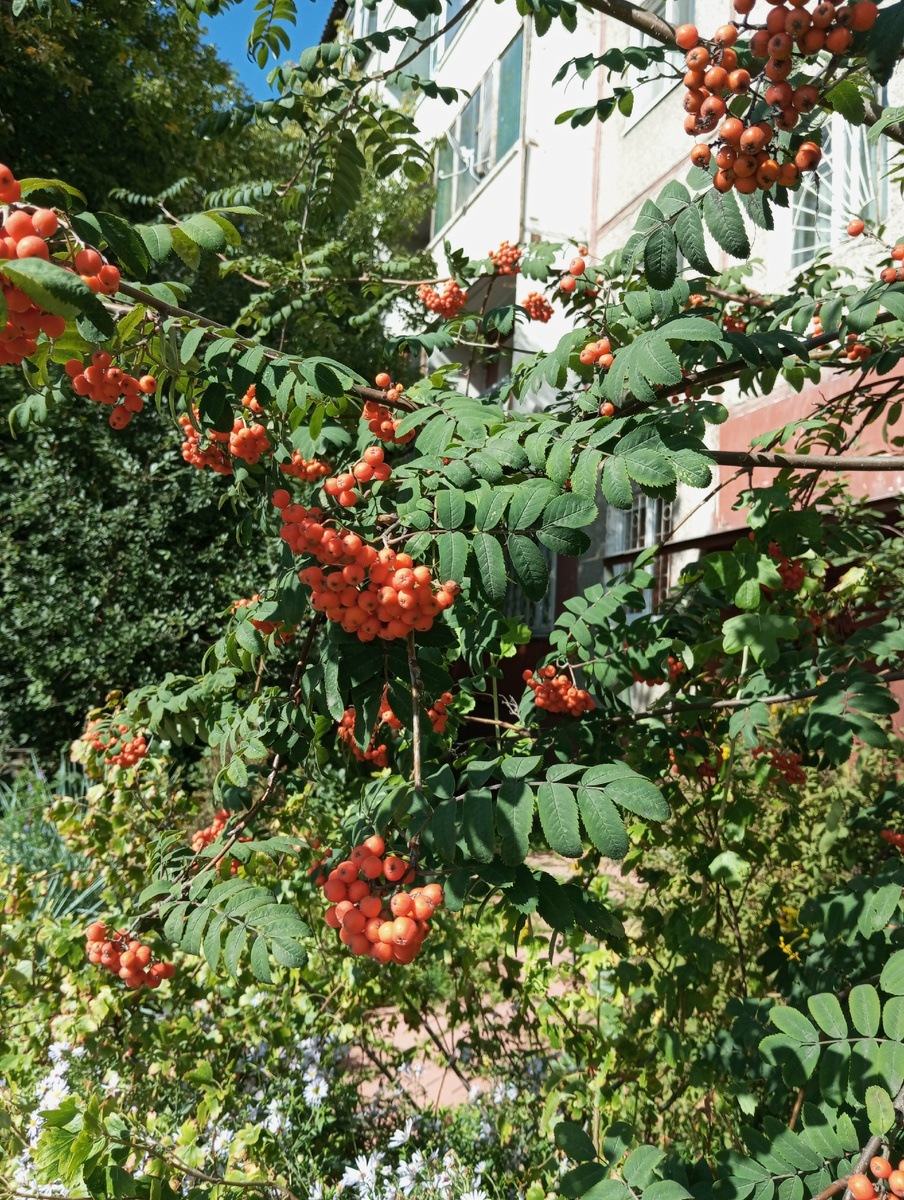Фото автора статьи. Мой Академгородок, место моей жизни.