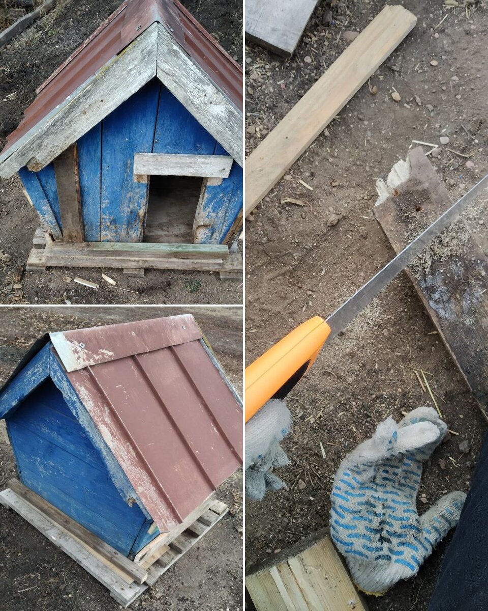 Старенький домик для моего маленького друга. Вообще он принадлежал другому Рексу - моей предыдущей собаке. Оба Рекса прожили с нами суммарно больше 20-ти лет, и я обоих очень сильно люблю до сих пор.