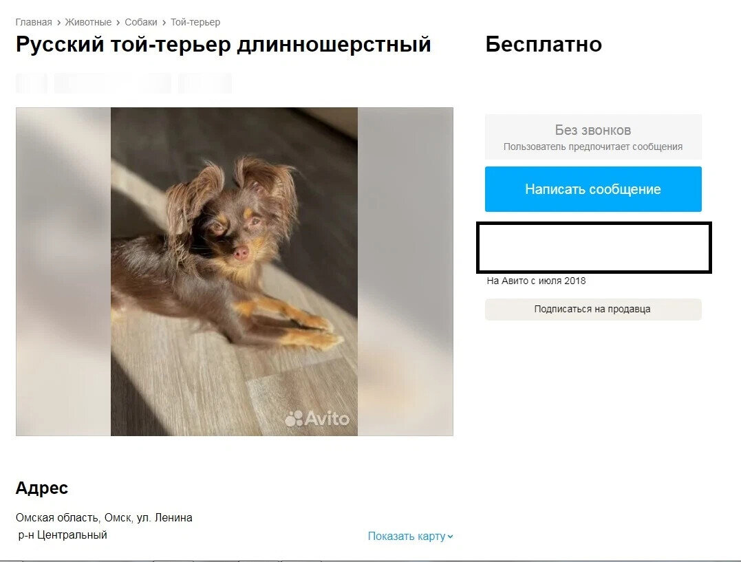 скриншот автора