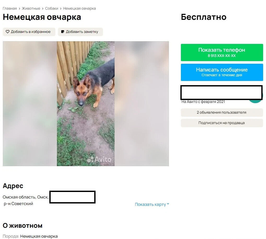 скриншот автора