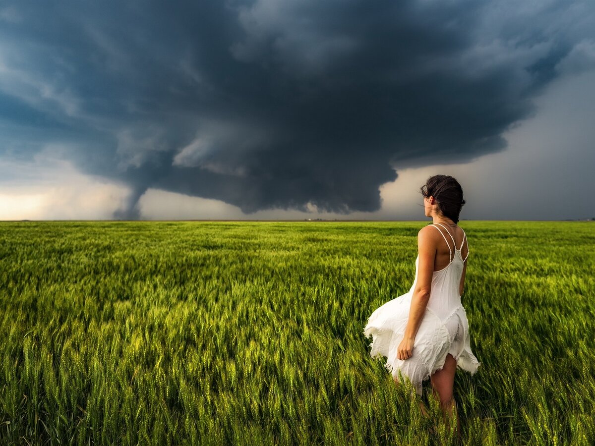 Картинка из источника в свободном доступе