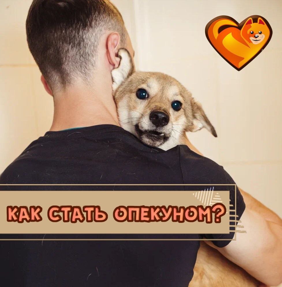 Присоединяйтесь к нашей команде, друзья!