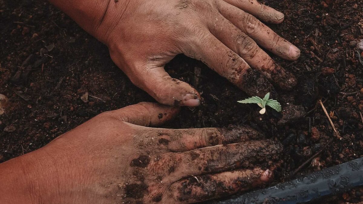    Фото: Unsplash Рашид Ахмежанов