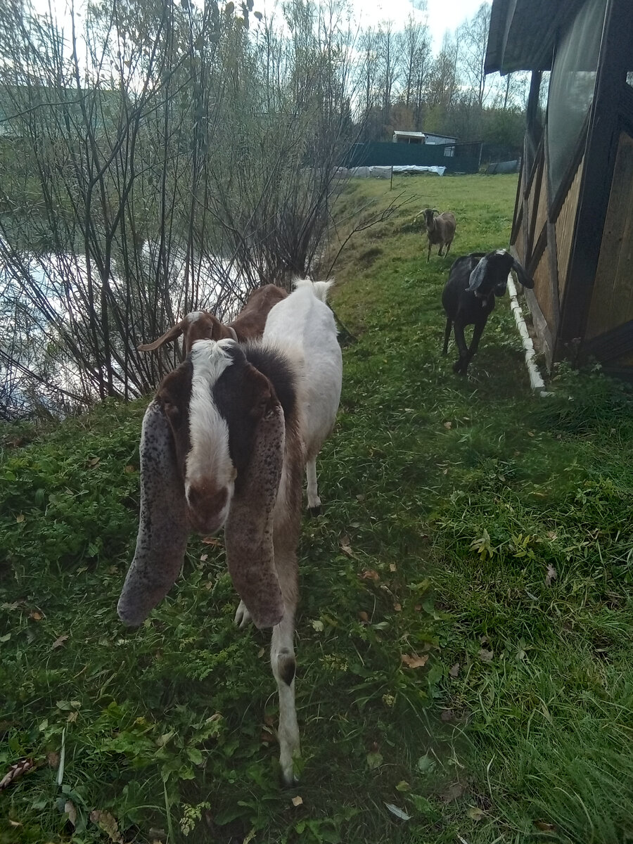 Фото автора. 