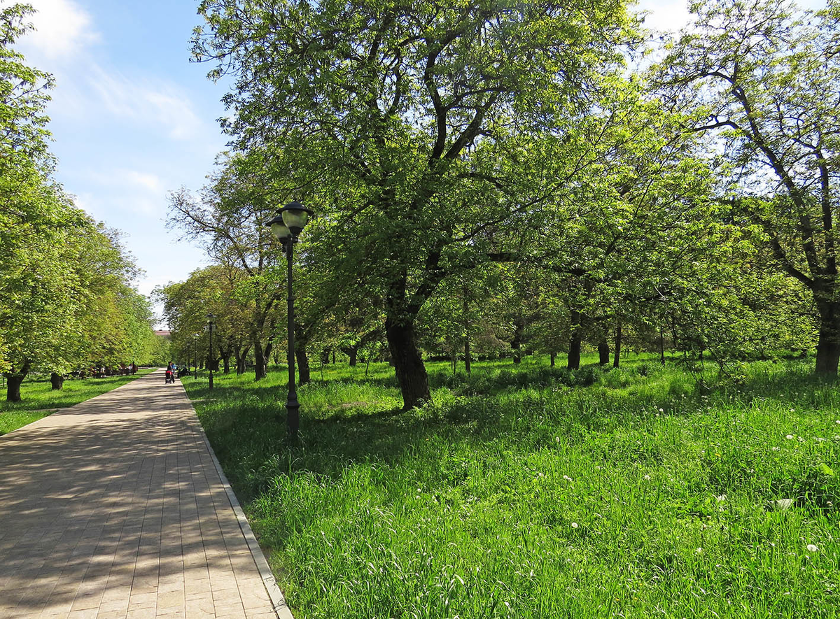 Сквер ореховая роща нальчик. Парк орешка нальчик. Сквер нальчик. Памятник погибшим комсомольцам нальчик. Сквер ореховая роща нальчик.